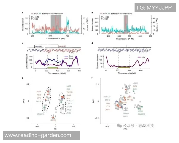 武汉攀岩队力量表现数据分析揭示训练效果与运动员潜力的关系