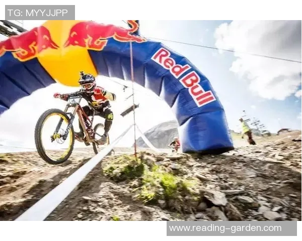 杭州极限运动队转型之路揭秘:从传统到创新的全新挑战与机遇